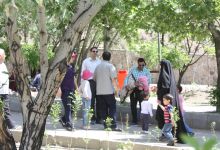 گزارش تصویری از همایش پیاده روی کارکنان در 22 اردیبهشت ماه 